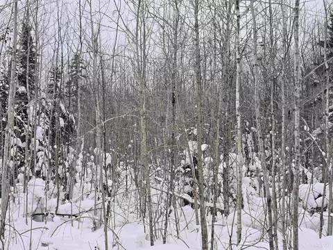 tbd Parcel 2 Townline, L'anse, MI 49946 photo 13