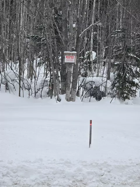 tbd Parcel 2 Townline, L'anse, MI 49946 photo 4