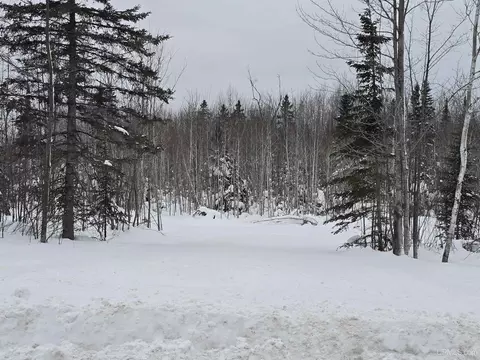 tbd Parcel 2 Townline, L'anse, MI 49946