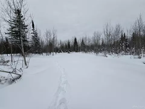 tbd Parcel 2 Townline, L'anse, MI 49946 photo 10