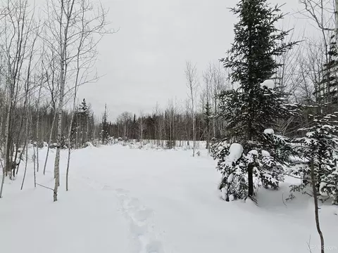 tbd Parcel 2 Townline, L'anse, MI 49946 photo 17