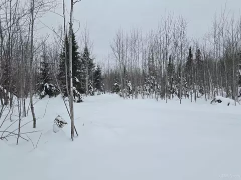 tbd Parcel 2 Townline, L'anse, MI 49946 photo 8