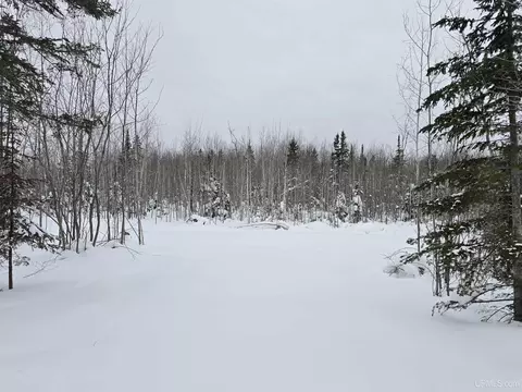 tbd Parcel 2 Townline, L'anse, MI 49946 photo 2