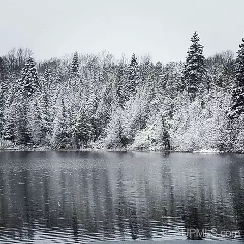 tbd Off Laurel Lk #NO LEGAL INSURABLE ROAD ACCE, Newberry, MI 49868