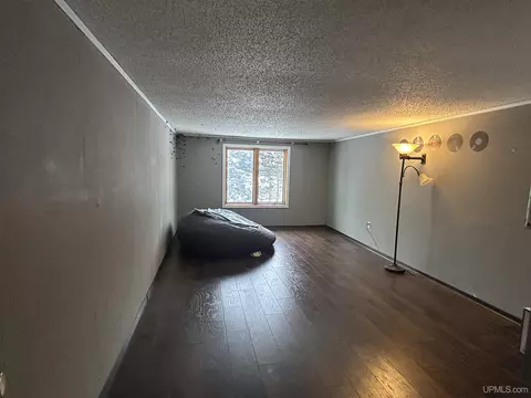 5213 Pine, Chatham, MI 49816 photo 25