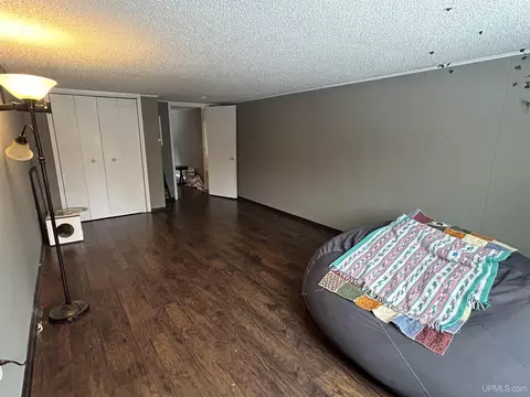 5213 Pine, Chatham, MI 49816 photo 24