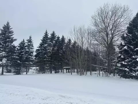 5213 Pine, Chatham, MI 49816 photo 38
