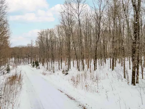 Unit 8 Elizabeth, Iron River, MI 49935