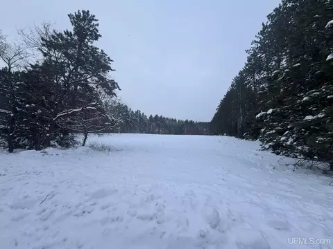 tbd Treves Farm, Norway, MI 49870