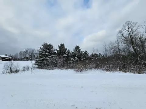 lot4 Hampton #MANCHER REALM 7, Gladwin, MI 48624 photo 13