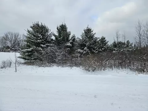 lot4 Hampton #MANCHER REALM 7, Gladwin, MI 48624 photo 11