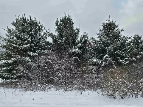 lot4 Hampton #MANCHER REALM 7, Gladwin, MI 48624 photo 12