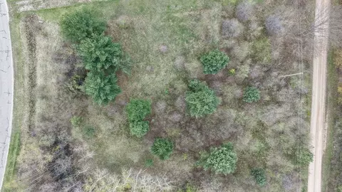 lot4 Hampton #MANCHER REALM 7, Gladwin, MI 48624 photo 3