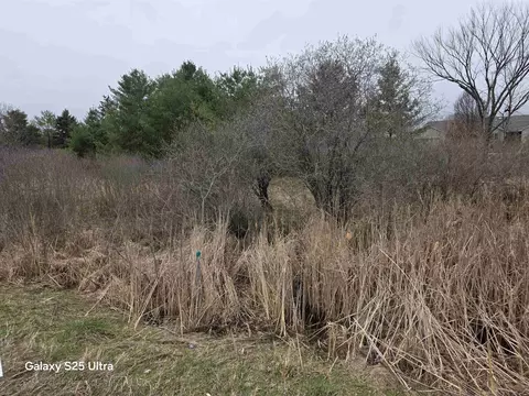 lot551 Hockaday Rd #HOCKADAY & DOIE DR, Gladwin, MI 48624 photo 9