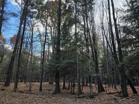 9191 Deerfield, Stanwood, MI 49346