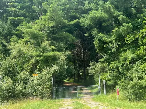 00000 N Lakeshore, Palms, MI 48465