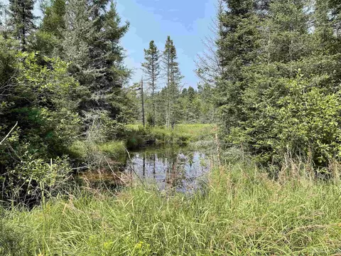 Other - 26497 Us 41, Covington, MI 49919 photo 8 of 10