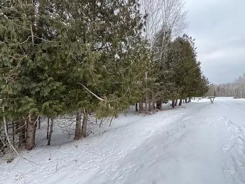 lot230 Kings, Gladwin, MI 48624