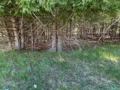 lot230 Kings, Gladwin, MI 48624