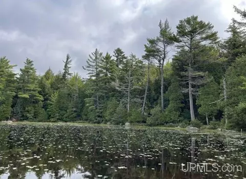 tbd Loon Lk, Covington, MI 49919 photo 7