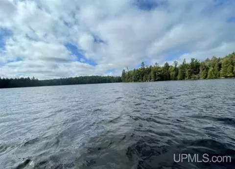 tbd Loon Lk, Covington, MI 49919