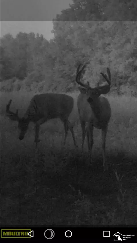 Stewart Road, Monroe, MI 48162 photo 3