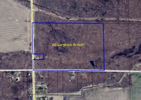 V/l Chapin, Elsie, MI 48831