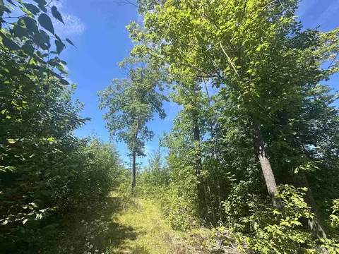 tbd Co Rd Cn, Ishpeming, MI 49849 photo 2