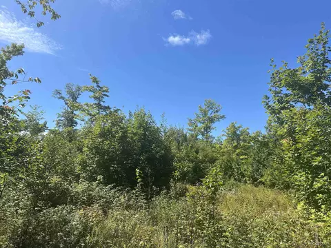 tbd Co Rd Cn, Ishpeming, MI 49849 photo 6