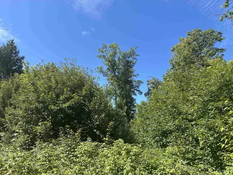 tbd Co Rd Cn, Ishpeming, MI 49849 photo 3
