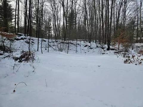 Other - 7875 N Ball, Harrison, MI 48625 photo 7 of 7