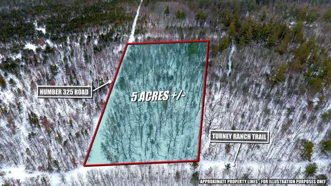 Turney Ranch, West Branch, MI 48661