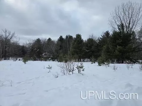 tbd Fumee Lk #LOT S 7 & 8, Iron Mountain, MI 49801