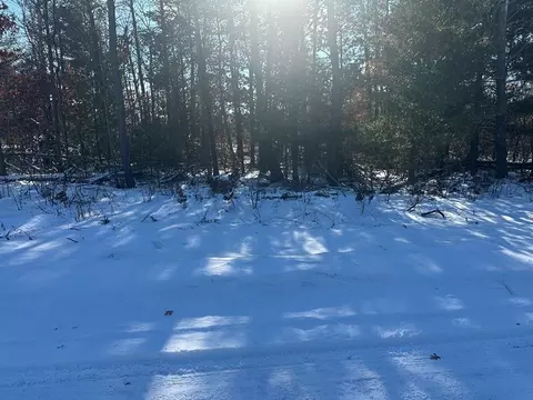 lot8 Edwin, Harrison, MI 48625 photo 2