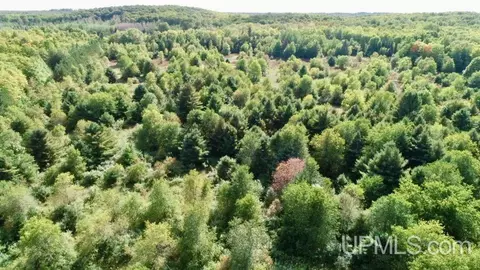 tbd M-28, Mcmillan, MI 49853