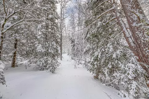 On E Old Us 2, Watersmeet, MI 49969 photo 12