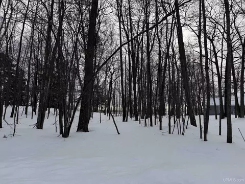 tbd Lot 6 Caron 04, Gladstone, MI 49837