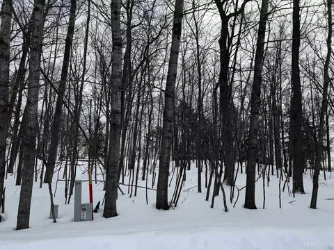 tbd Lot 7 Caron 04, Gladstone, MI 49837