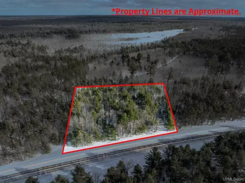 8670 M-94, Shingleton, MI 49854