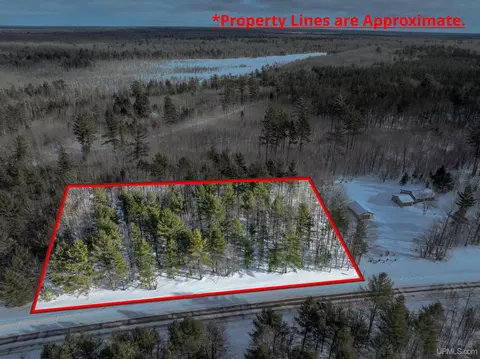 8668 M-94, Shingleton, MI 49854