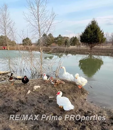 Other - 2056 N Duffield, Flushing, MI 48433 photo 31 of 32