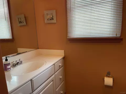 404 Mills, Saline, MI 48176 photo 20