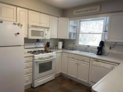 404 Mills, Saline, MI 48176 photo 41