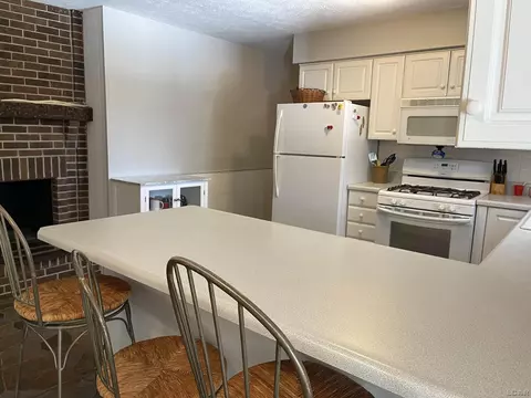 404 Mills, Saline, MI 48176 photo 38