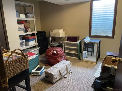 404 Mills, Saline, MI 48176 photo 27