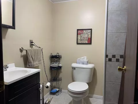 404 Mills, Saline, MI 48176 photo 29
