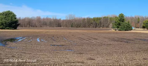 14000 W Burt, Chesaning, MI 48616