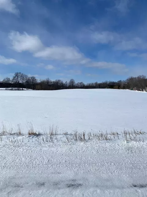 0 Fenner, Perry, MI 48872 photo 4