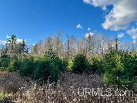 11 4 Acres Barker, Amberg T-wi, WI 54102