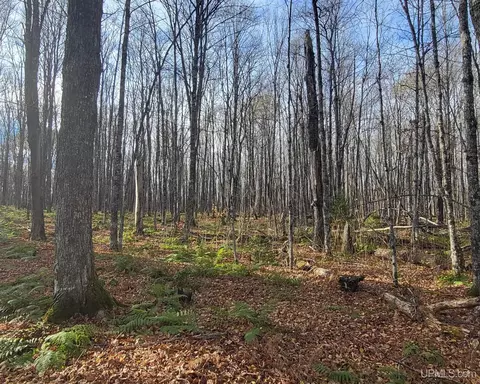 tbd Federal Forest 16, Iron River, MI 49935